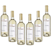 2017, Lar de Sotomayor, Rioja Vendimia Seleccionada, Domeco de Jarauta, Rioja, Spanien, 6er-Paket - Bild 1